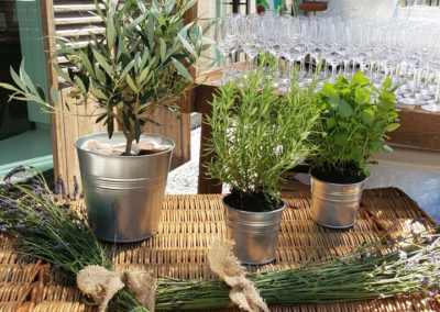 Provence